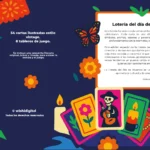 img_slider2